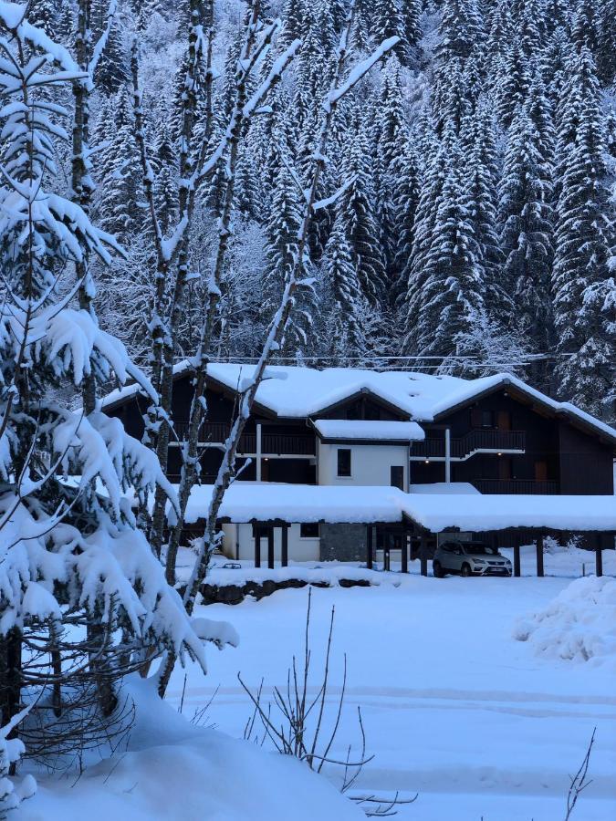 Apartement Morzine Avoriaz Eksteriør billede